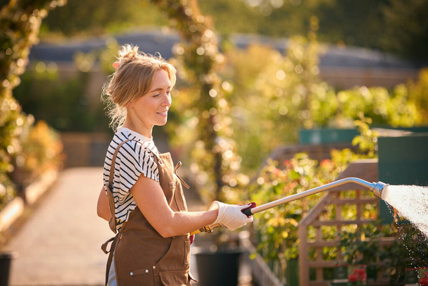 Woman Working Outdoors In Garden Centre Watering Plants - Photo, Image