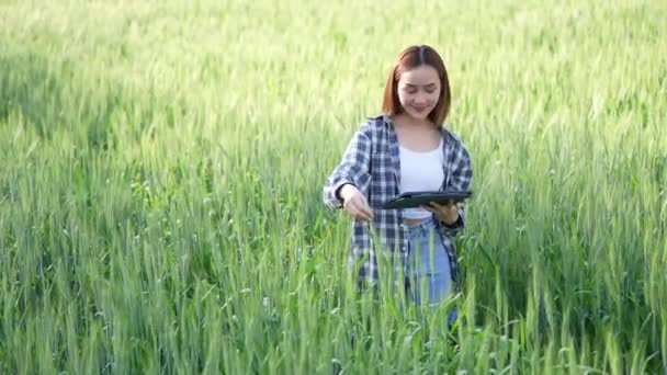 Mujer asiática que trabaja en los campos y planea los ingresos de la cosecha Mujer inspecciona y controla el control de calidad de los productos de trigo en la granja de arroz. Industria agrícola y concepto de cosecha.4k - Metraje, vídeo