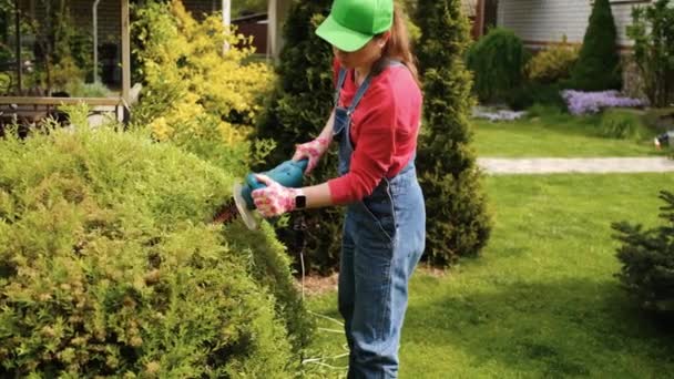 仕事の制服を着た女性の庭師は,電気ハサミでブッシュをトリムします. 夏季のハンドメイド. - 映像、動画
