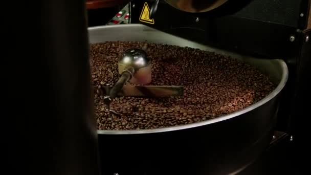 Kuvamateriaalia kahvinpaahtimesta, tuoreita paahdettuja kahvipapuja. - Materiaali, video