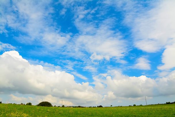 prado verde bajo un cielo pintoresco
 - Foto, Imagen