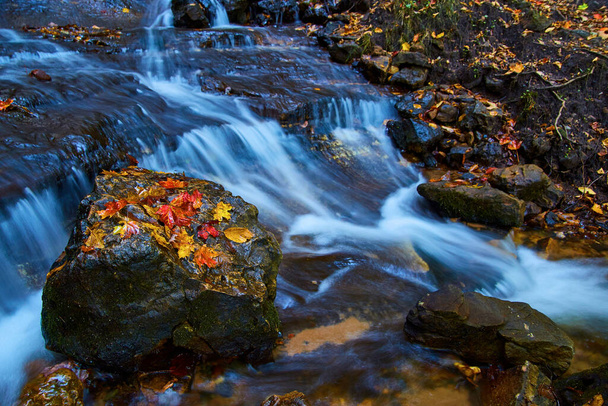 Corriente de otoño serena en Michigans Horseshoe Falls, 2017 - Las hojas vibrantes adornan una roca musgosa en medio del movimiento de agua sedosa - Foto, Imagen
