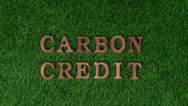 Οργανωμένο κείμενο ξύλινο αλφάβητο σε CO2 για βιοφιλικό πράσινο γρασίδι σχεδιασμό φόντο ως οικολογικό σύμβολο για την ενθάρρυνση μήνυμα για την εκστρατεία μείωσης της πίστωσης άνθρακα και την περιβαλλοντική ευαισθητοποίηση. Πυρκαγιά - Φωτογραφία, εικόνα