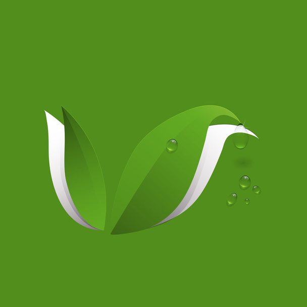 緑色の紙葉と水滴 - ベクター画像