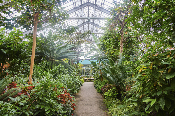 Weelderige Indoor Botanische Tuin in Matthaei, Michigan, Weergave Brede Verscheidenheid van Planten in een broeikas - Foto, afbeelding