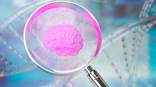 szkło powiększające i mózg na tle DNA dla sci lub medycyny. Koncepcja renderowania 3d - Zdjęcie, obraz