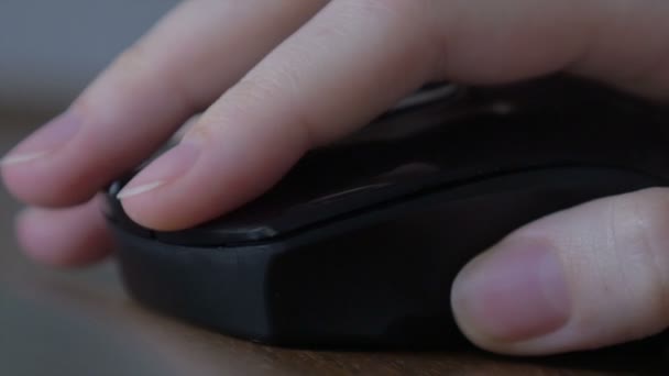 Hand of the woman and computer mouse - Footage, Video