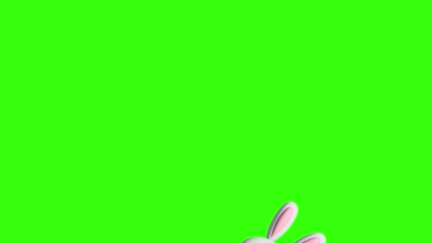 Yeşil ekran krom anahtar üzerindeki Paskalya ögelerinin animasyonu, hareket grafik tasarımı - Video, Çekim