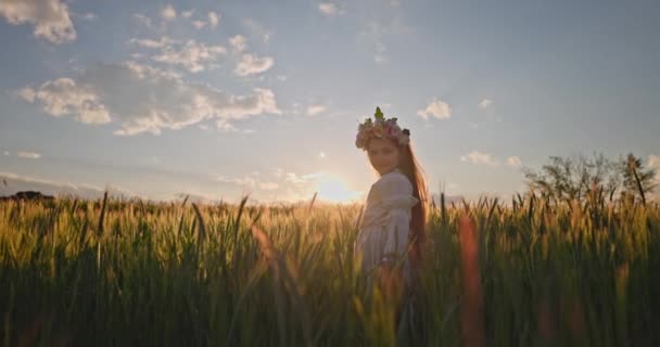 Пшеничное поле на закате и женщина-фермер болгарская девушка в этническом костюме фольклора с болгарской вышивкой работы на лугу 4K видео природы Болгарии - Кадры, видео