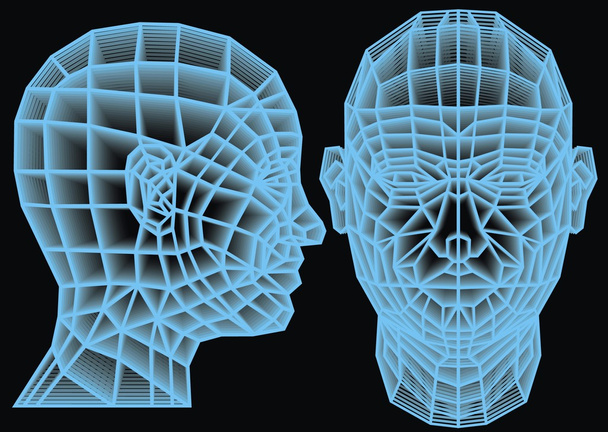 3D людської голови
  - Вектор, зображення