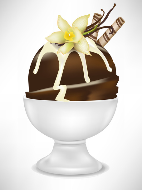 chocolate ice cream with vanilla in bowl - Vector, Image