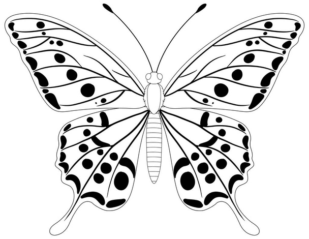 mustavalkoinen kuva perhosesta - Vektori, kuva