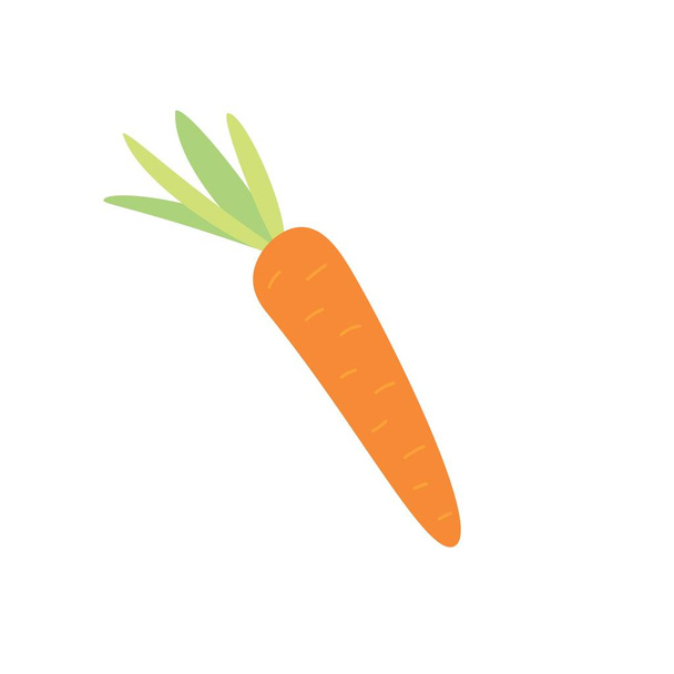Πορτοκαλί καρότο σε λευκό φόντο - Διάνυσμα, εικόνα