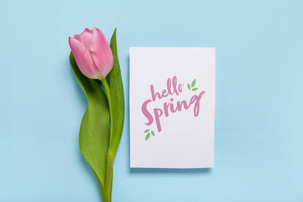 Pozdrav přání s textem HELLO SPRING a krásný růžový tulipán na modrém pozadí - Fotografie, Obrázek