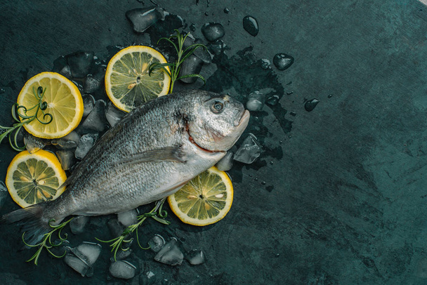 Čerstvé ryby Dorado - Zlacená hlavice připravená na vaření. Čerstvé dorado ryby na pozadí rozdrceného ledu s plátky citronu a rozmarýnem. - Fotografie, Obrázek