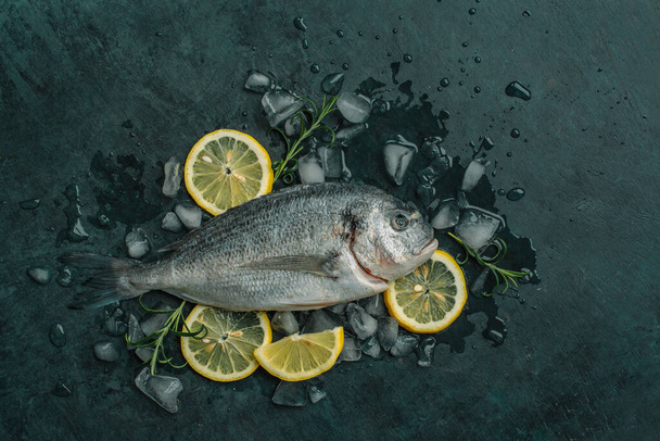 Čerstvé ryby Dorado - Zlacená hlavice připravená na vaření. Čerstvé dorádové ryby na pozadí rozdrceného ledu s plátky citronu a rozmarýnem. Místo pro text - Fotografie, Obrázek