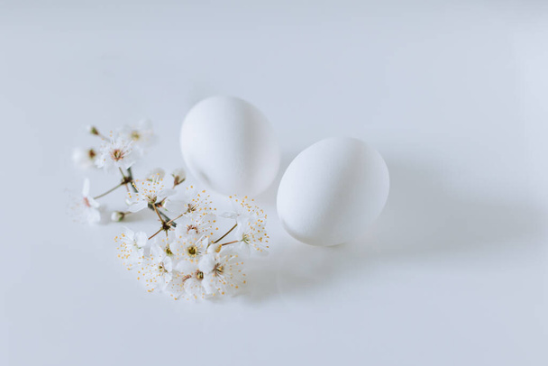 Bel ramo con fiori bianchi e uova su sfondo bianco. Concetto minimo. Posto per testo. - Foto, immagini