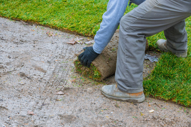 Ο άνθρωπος που θέτει ρολά χλοοτάπητα φυσικό χόρτο ξεδιπλώνονται στο έδαφος για την περιοχή εξωραϊσμού - Φωτογραφία, εικόνα