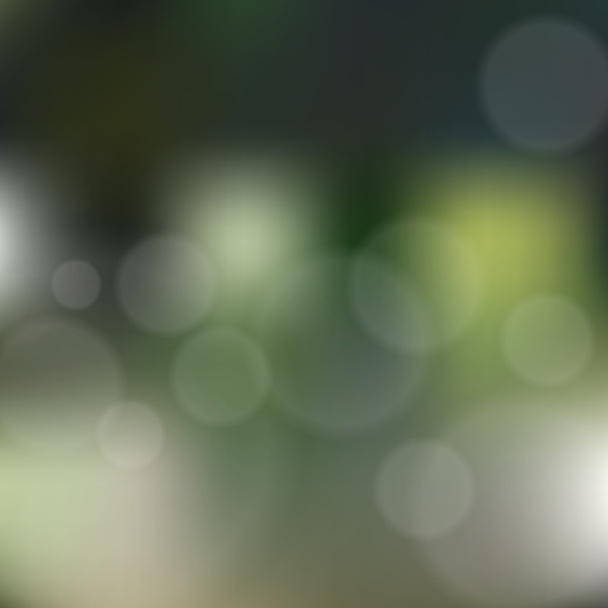 Blurred background with bokeh - Vector, Image