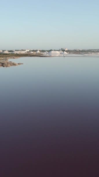 アリカンテ スペインのトレヴィージャ市のラスサリナスで塩工場に向かって湖を飛ぶ高速. 空中ドローン - 垂直 1080 ビデオ - 映像、動画