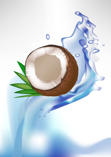 nefunkční kokosový a listí v střik vody - Vektor, obrázek