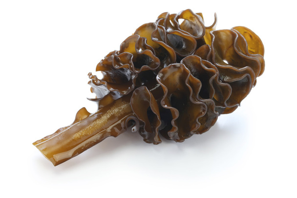 Japanese seaweed, mekabu, wakame root - Photo, Image