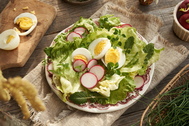 Salade de légumes de printemps aux œufs, radis et plantes sauvages comestibles - potamot, bruyère et achillée - Photo, image