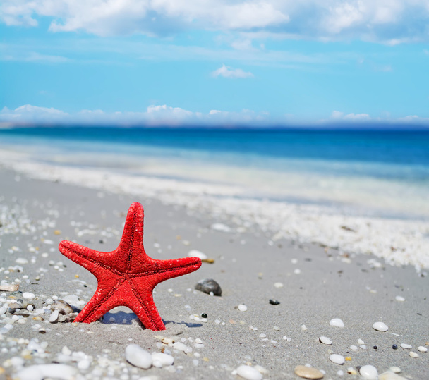 Красная звезда на берегу
 - Фото, изображение