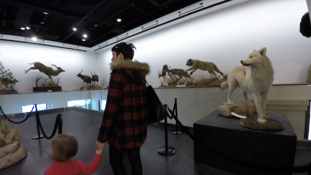 博物館を歩く家族 - 映像、動画