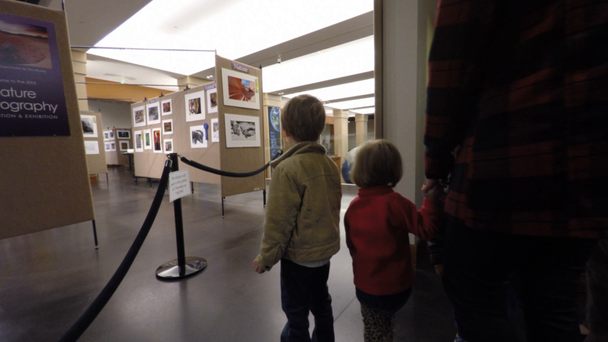 博物館を歩く家族 - 映像、動画