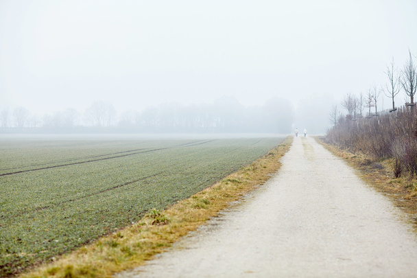 霧の田舎道 - 写真・画像