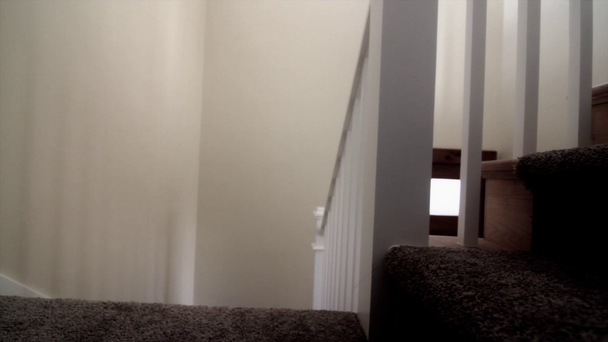Carpeted stairs in home - Footage, Video