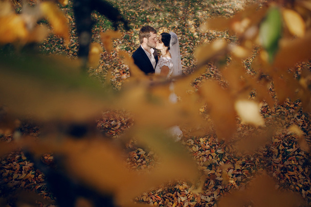 Wedding couple in love outdoors - Foto, Imagem