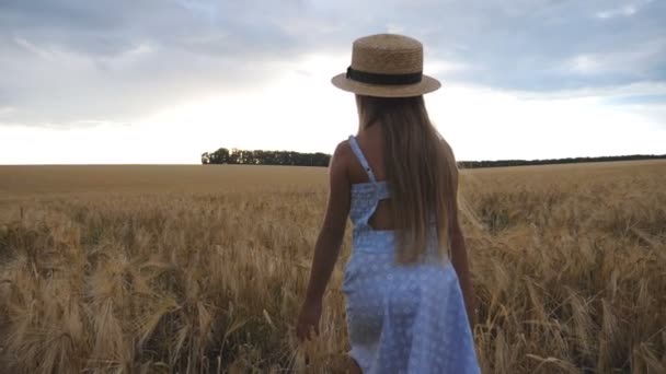 Follow to small girl in straw hat walking through wheat field at overcast day. Cute child with long blonde hair touching golden ears of crop. Little kid in dress going over the meadow of barley, - Footage, Video