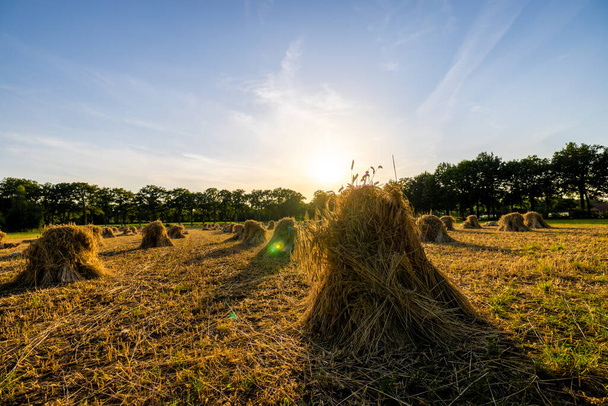 A serene sunset scene unfolds in this photograph, with the suns fading light silhouetting numerous haystacks in a country field. The sunlight filters through the hay, creating a warm and inviting - Photo, Image