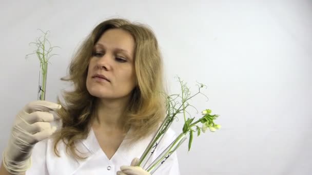 Вчена жінка досліджує колби з генетично модифікованими рослинами
 - Кадри, відео