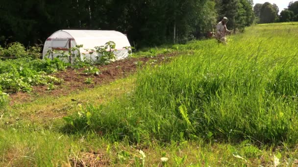 El hombre cortó la hierba con trimmer de gasolina a lo largo del jardín con invernadero
 - Metraje, vídeo