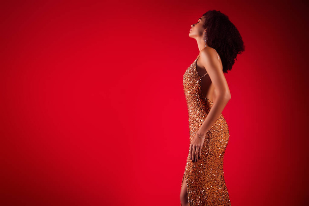 Фотографія профілю чарівної леді, яка готується до святкової події сукні код порожній простір на червоному градієнтному кольоровому фоні. - Фото, зображення