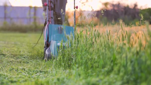 Egy fickó zöld füvet nyír egy fűnyíróval a kertben. Meleg nyári vagy tavaszi naplemente a kertészeti szezonban - Felvétel, videó