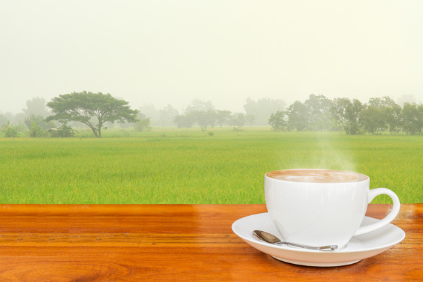 Koffie en rijst veld. - Foto, afbeelding
