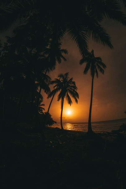 Karayip sahillerinde günbatımı renklerle - Fotoğraf, Görsel