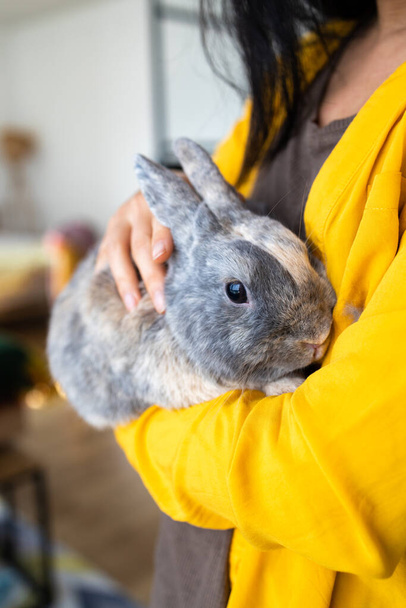 Asiatin mit Kaninchen im Arm zu Hause. Osterkonzept. - Foto, Bild