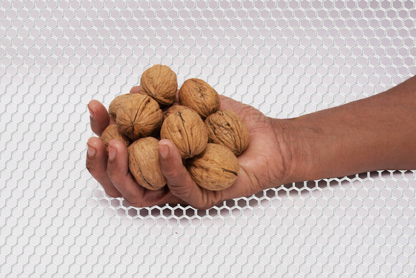 Handheld verse walnoten: een symbool van natuurlijke voeding, een afbeelding vastleggen van een hand presenteren van een verzameling van verse, niet-gebarsten walnoten. De getextureerde oppervlakken van de walnoten geven hun natuurlijke staat aan - Foto, afbeelding