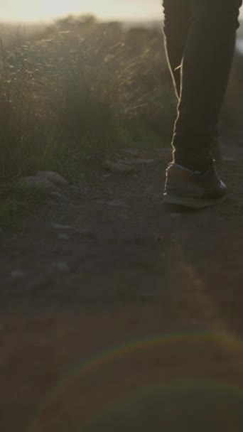 Gambe dell'uomo che cammina su un sentiero di campagna tenendo la chitarra al tramonto - slow-motion dopo lo scatto - Vertical FullHD video - Filmati, video