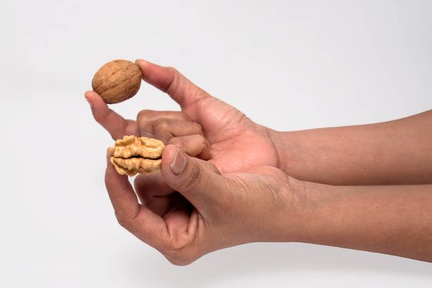Unveiling Nature's Bounty: Skillful Hands Crack Open a Fresh Walnut, An image capturing the precise moment a pair of hands skillfully cracks open a walnut. The fresh, edible kernel inside is revealed - Photo, Image