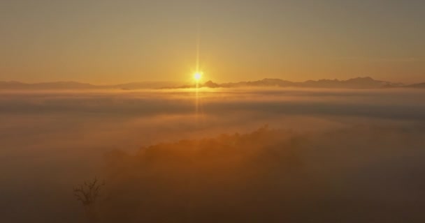 Aerial view The golden light of the morning sun above the sea of mist. In the valley creates a calm evening atmosphere. Colorful colors of the mountain range - Footage, Video