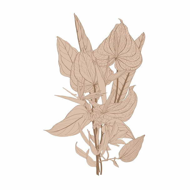 Blumensträuße mit von Hand gezeichneten Kräutern, tropischen Palmblättern und Blumen im Skizzenstil. - Vektor, Bild
