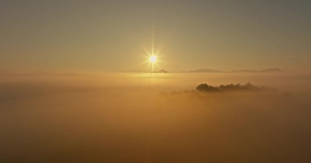 Vista aérea La luz dorada del sol de la mañana sobre el mar de niebla. En el valle crea un ambiente tranquilo por la noche. Coloridos colores de la cordillera - Imágenes, Vídeo