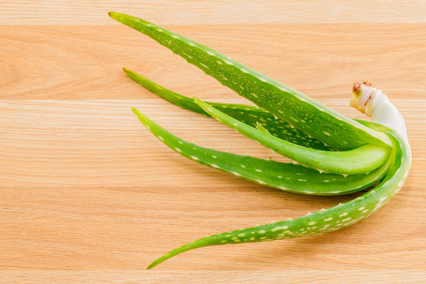 Aloevera - натуральные ингредиенты для ухода за кожей
. - Фото, изображение