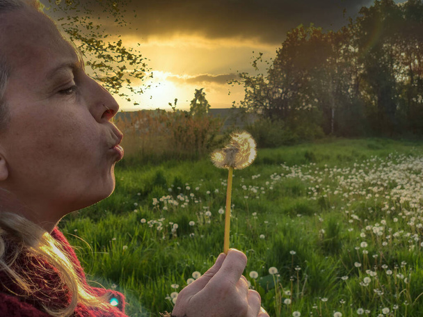 Fotografie zachycuje klidný okamžik, kdy se žena se našpulenými rty chystá vyslat do večerního vzduchu záplavu pampeliškových semen. Západ slunce koupe scénu ve zlatém odstínu, zvýrazňuje - Fotografie, Obrázek